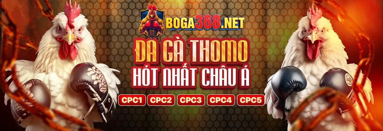 Đá gà trực tuyến kịch tính tại 33bet