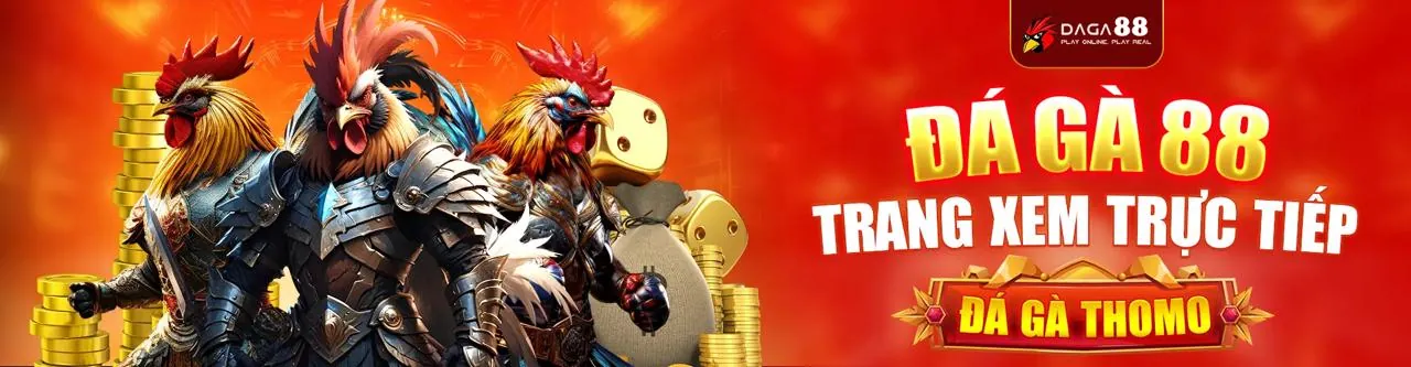 Hình ảnh minh họa chính sách bảo mật 33bet login